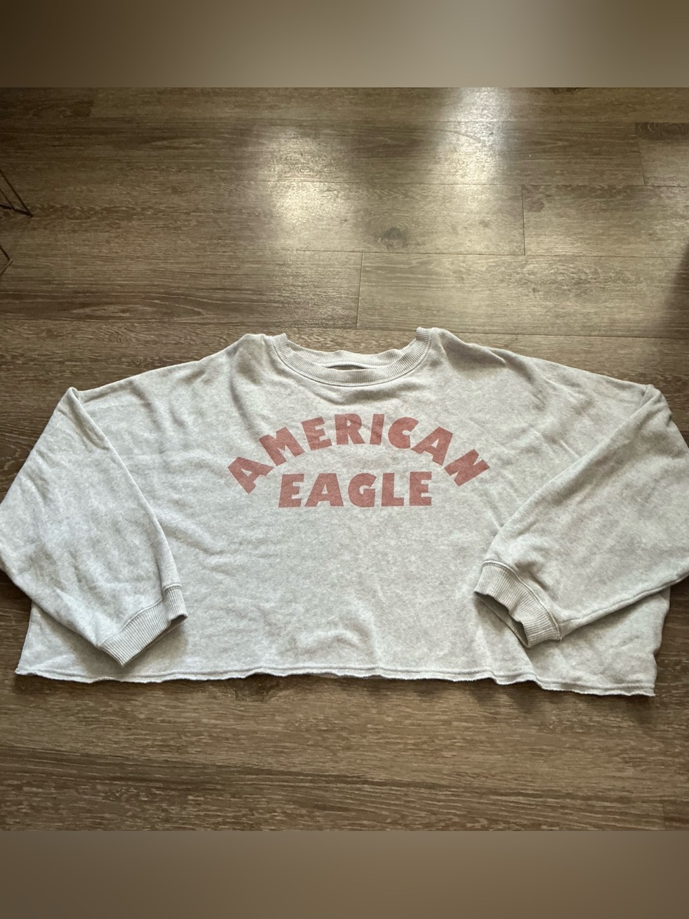 American Eagle Graphic Sweatshirt Size